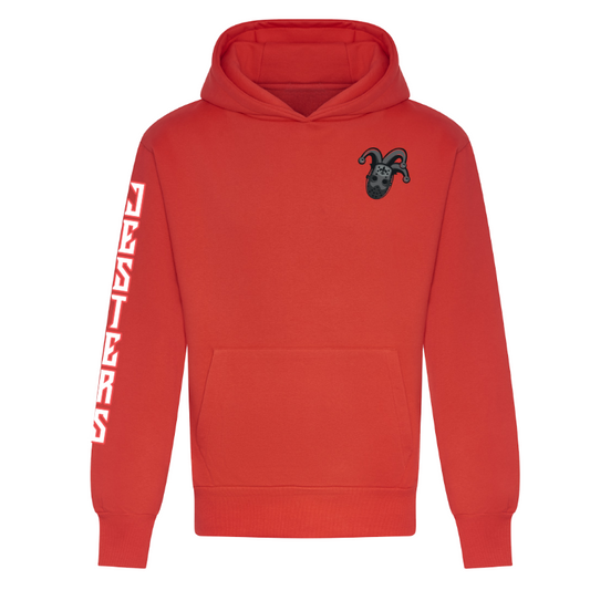 Jesters Heavyweight Hoodie - printed